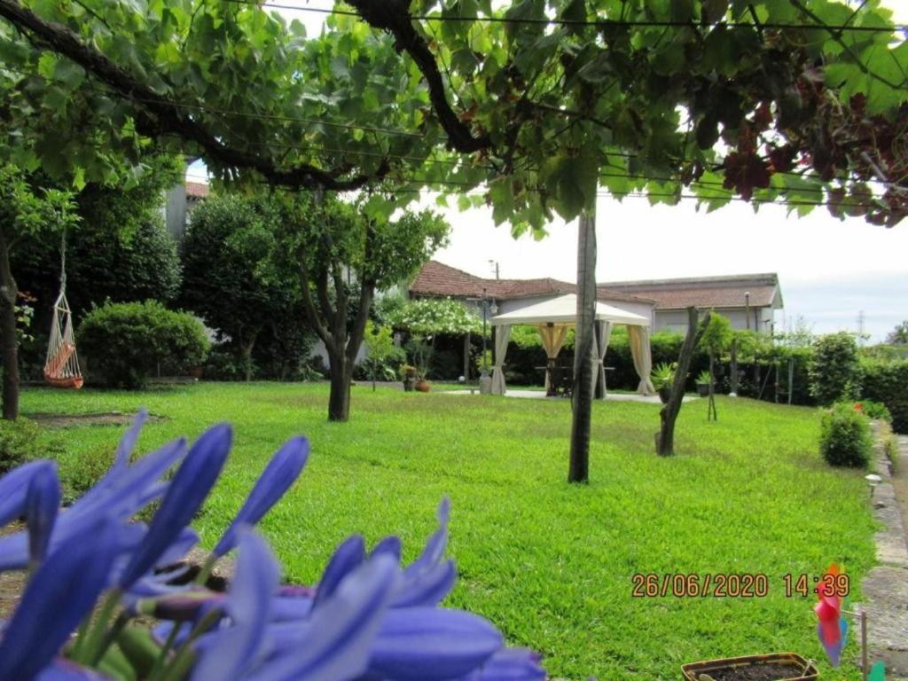 Villa Casa De Sao Braz Landim Exterior foto